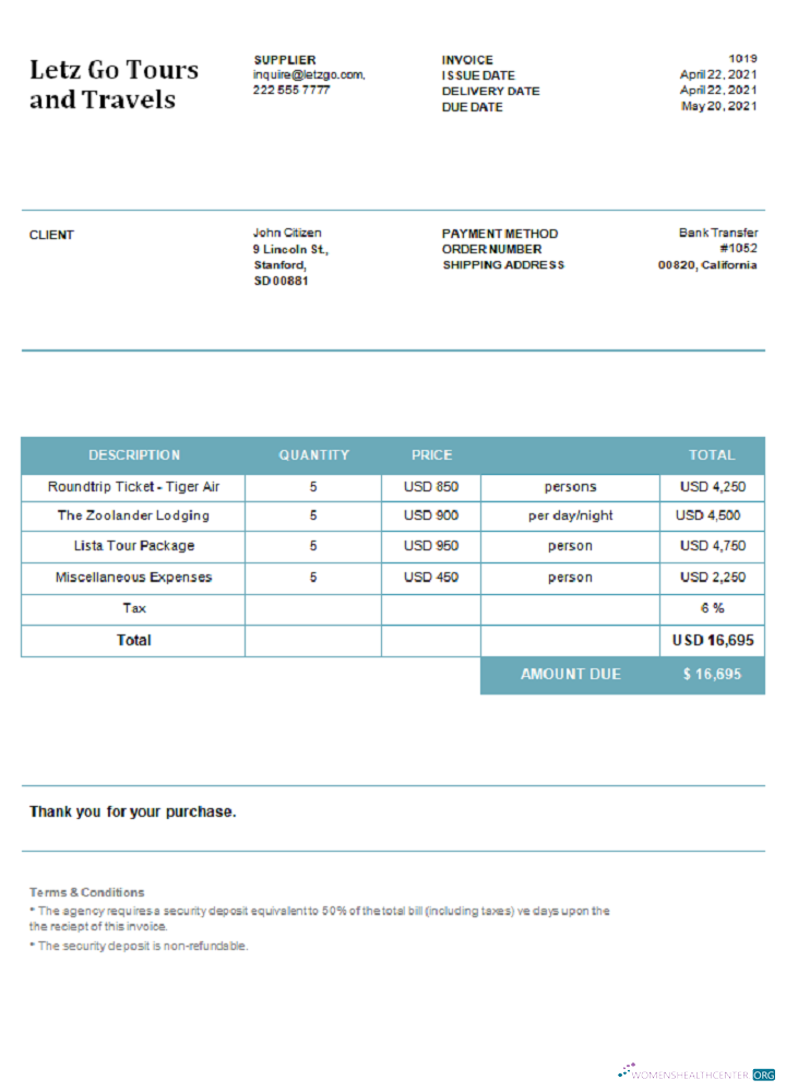 Download USA Letz Go Tours and Travels invoice Photoshop template